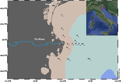 Diversity of Free-Living and Particle-Attached Prokaryotes in a River-Influenced Coastal Area of the Northern Adriatic Sea